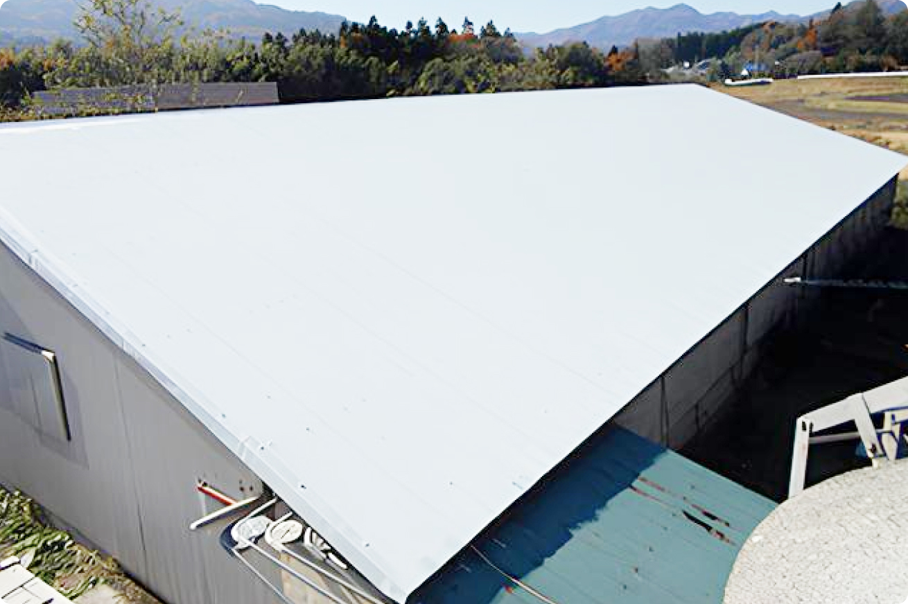 畜舎屋根遮熱の施工写真
