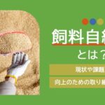 飼料自給率とは？現状や課題・向上のための取り組みを解説