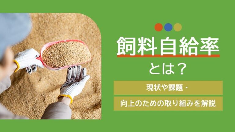 飼料自給率とは？現状や課題・向上のための取り組みを解説