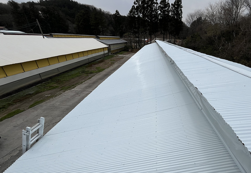 メイク吟卵 様の施工写真