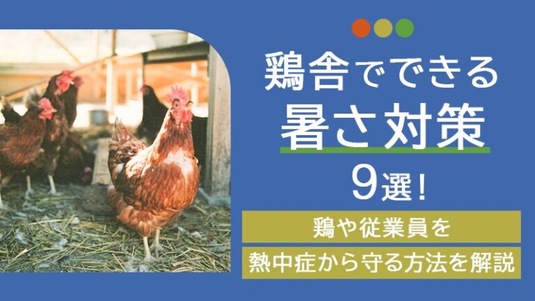 鶏舎でできる暑さ対策9選！鶏や従業員を熱中症から守る方法を解説