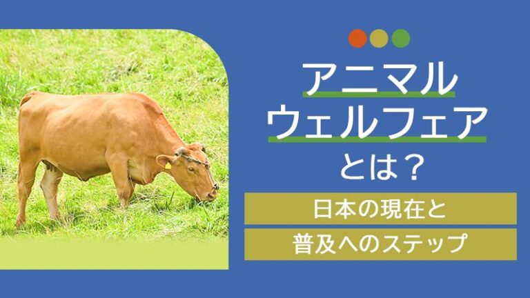 アニマルウェルフェアとは？日本の現在と普及へのステップ