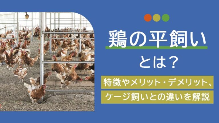 鶏の平飼いとは？特徴やメリット・デメリット、ケージ飼いとの違いを解説
