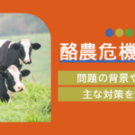 酪農危機とは？問題の背景や現状、主な対策を解説