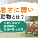 暑さに弱い動物とは？主要な家畜の暑熱限界と現場の暑さ対策