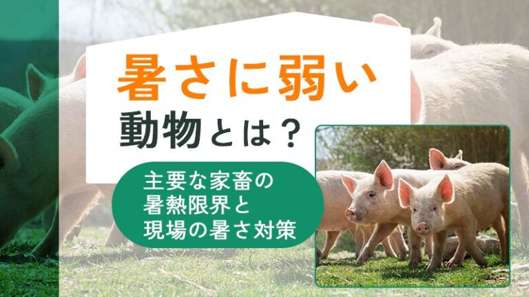 暑さに弱い動物とは？主要な家畜の暑熱限界と現場の暑さ対策