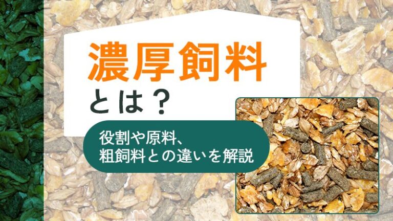 濃厚飼料とは？役割や原料、粗飼料との違いを解説