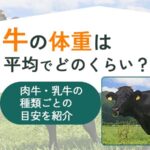 牛の体重は平均でどのくらい？肉牛・乳牛の種類ごとの目安を紹介