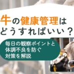 牛の健康管理はどうすればいい？毎日の観察ポイントと体調不良を防ぐ対策を解説