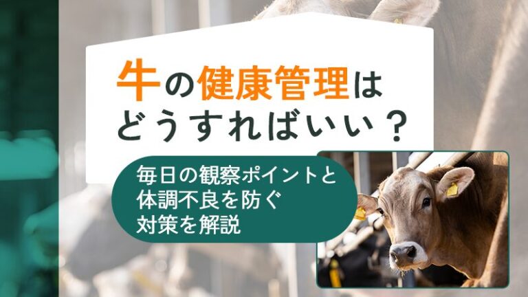 牛の健康管理はどうすればいい？毎日の観察ポイントと体調不良を防ぐ対策を解説
