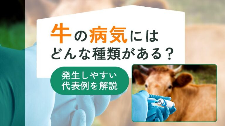牛の病気にはどんな種類がある？発生しやすい代表例を解説
