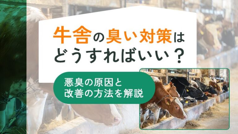 牛舎の臭い対策はどうすればいい？悪臭の原因と改善の方法を解説